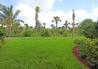 Paloma - Eugenia 22 - Garden View