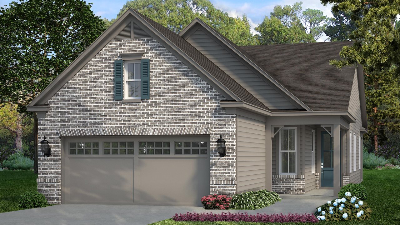 Ash Model | Elevation AB