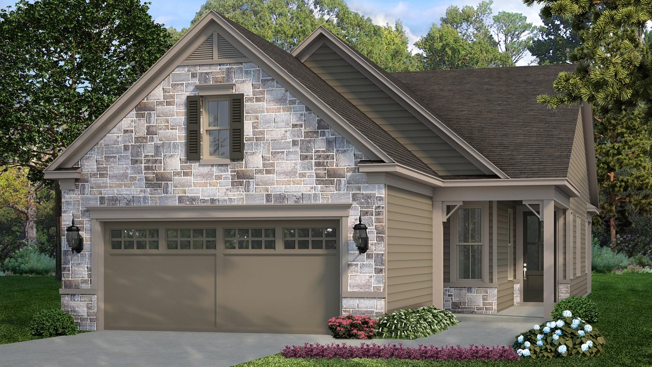 Ash Model | Elevation AS 
