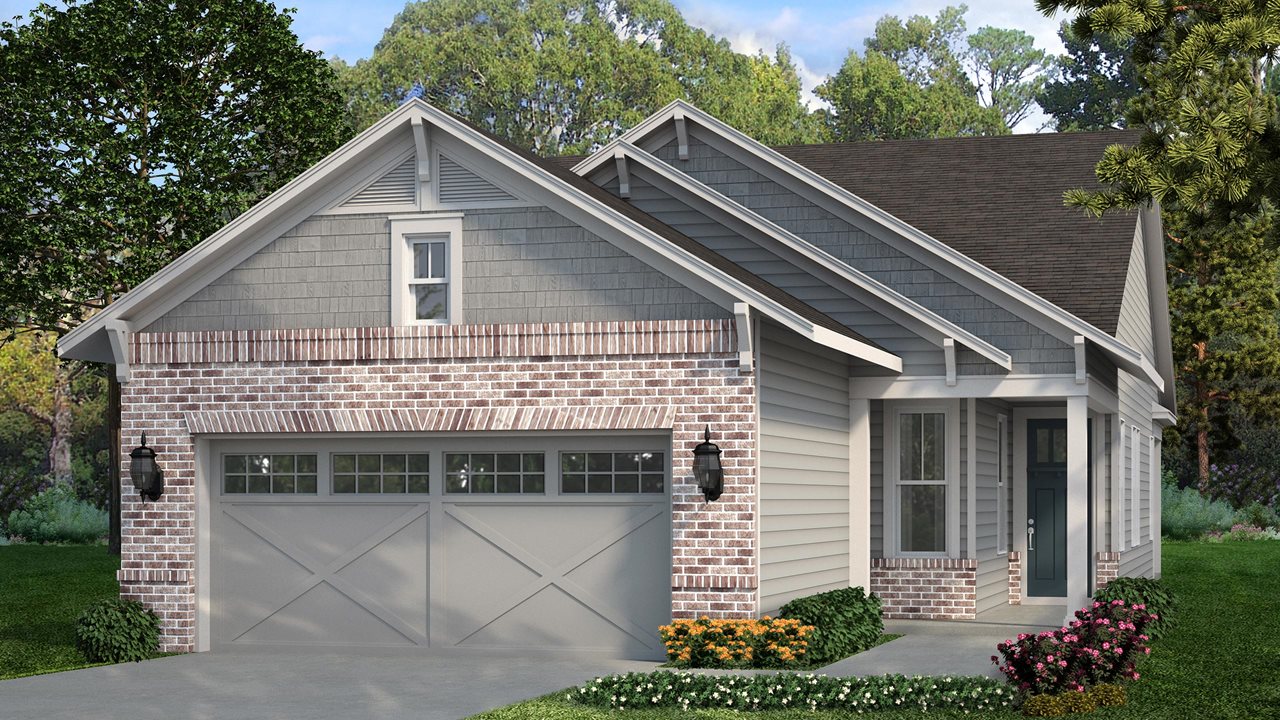 Ash Model | Elevation BB
