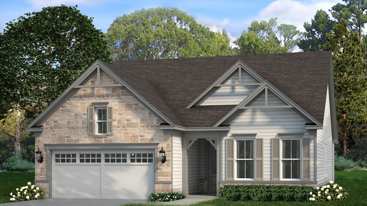 Elm Model | Elevation AS
