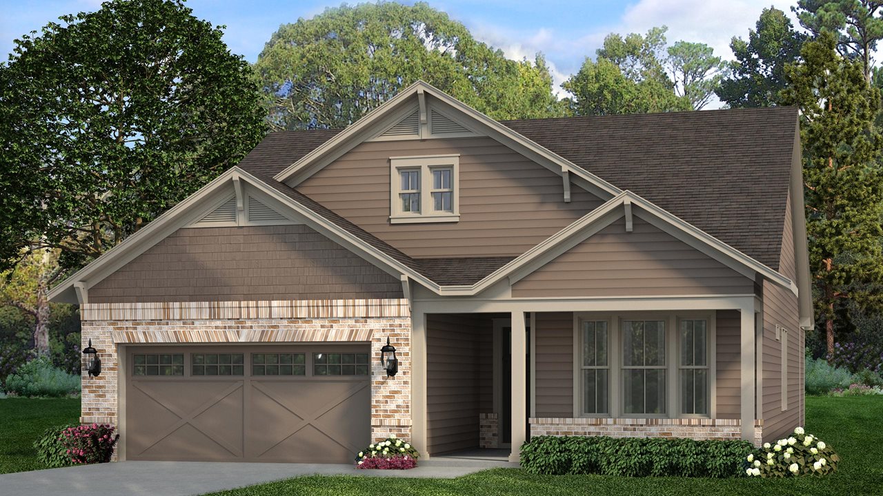 Elm Model | Elevation BB
