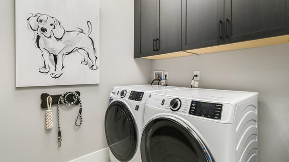 Madison Model | Laundry