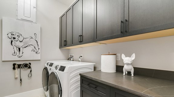 Madison Model | Laundry