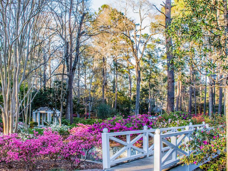 New homes near Charleston