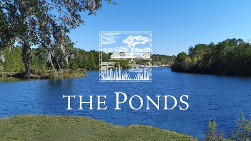 Protecting Life at The Ponds