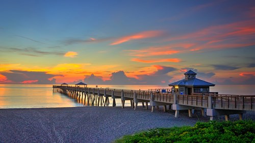 Things to Do in South Florida